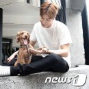 (주)펫스토리 이미지