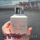 포레스트가든 | [차량 용품]고급자동차 방향제, 살림백서 차량 디퓨저 포레스트가든 후기