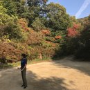 여성의집 이미지