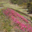 입점리_고분전시관 이미지