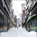[울릉도]1M가 넘게 눈이 내린 울릉설왕국의 풍경 이미지