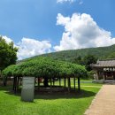 향나무쉼터 이미지