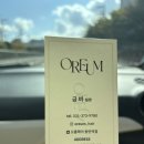개털도사 | 동탄역 미용실 솔직 추천 후기-오름헤어 동탄역점 (중단발 cs컬펌)
