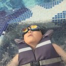 장전미술관 | 파라다이스시티호텔 호캉스의 재발견(인스파이어리조트 꿀팁 포함)