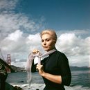 히치콕의 《현기증 (Vertigo, 1958)》: 시선이 현실을 삼켜버리는 순간, 사랑은 어디서부터 환상이 되는가