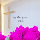 * 우리는 축복의 통로입니다 - 조태성 이미지