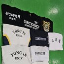 용인대 백호 합기도 체육관 네이버블로그