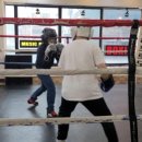 산본미래권투 이미지