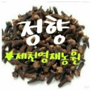 정향