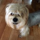 우아한개 이미지