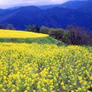 산너머강촌 이미지