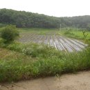 자연랜드공인중개사사무소 이미지