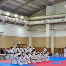 용인대 NO.1 태권도장 이미지