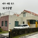 유수암쉘2쉘위키스 | [제주 애월] 유수암쉘 독채숙소 내돈내산 후기