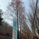 서구-01-08 | 대전 가을 가볼만한 곳 장태산 산책코스 놀거리 후기