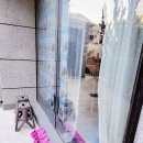 제제레이미술학원