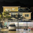 바른 애견 | 경기도 용인 애견동반식당 가성비 좋은 바른 고기 내돈내산 후기