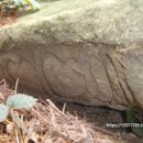 부산대학교 박물관 이미지