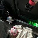 대자연유치원 | 평일에 다녀온 [에버랜드] 로스트밸리, 판다월드 후기 / 입장권 할인 with. 삼성카드