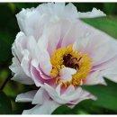 희망화원 이미지