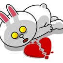 미소애견 미용실 이미지