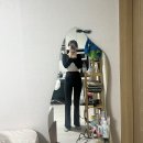 주식회사 내일엘엠씨 (LMC) | 5/11~14 일상