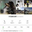 트윙클문 이미지