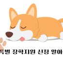 착한애견미용 이미지
