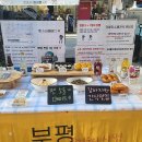 펫 소울메이트 이미지