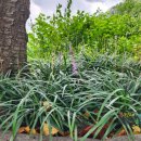 포항시남구연일읍보건지소 이미지