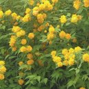 일오삼목장 | 5월기록