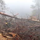 계정1리마을회관 이미지