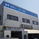 블루카모터스 네이버블로그