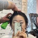명화미용실 | 가성비 강남헤어샵 청담미용실 상상모리헤어하우스에서 시세이도두피케어