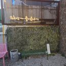 서문마당 | [부산 부산대/식당]부산대 맛집 블루리본 3관왕, 기본에 충실한 서문국수 후기