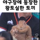 sight glass 카페, 샌프란시스코, oracle park, 이정후 선수, 기념품 숍 후기, 음식물 반입...