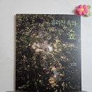 철학하는아이 시리즈) 유리잔 속의 숲
