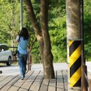 구룡자동차야영장(치악산국립공원) 이미지