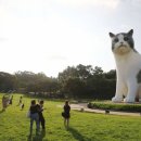 자이언트메디칼 이미지