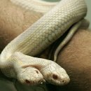 백사농장 이미지