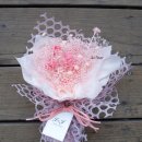 제이앤제이소프트 이미지