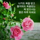 후리지아 이미지