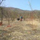 삼막골농원 이미지