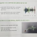 군산보청기 | 벨톤보청기 전주센터, 👵 80대 어머님 포낙 비르토(Virto) 착용 후기