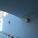 대림프라자 이미지