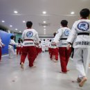 고려대한태권도 네이버블로그