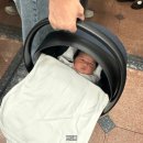 새숙골 당근집 | 신생아 바구니 카시트 당근보다 대여 추천하는 이유, &lt;아기와 나&gt;에서 2개월 대여한 후기