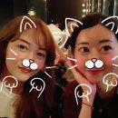 골덴양복점 | 샤로수길 비어 카페 라라피포 솔직후기