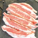 수원-1368 이미지