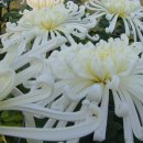 연암축산 이미지